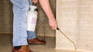 Pest control spray