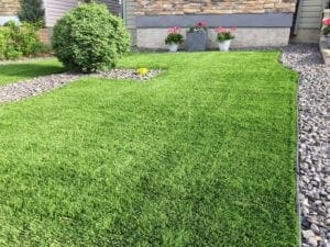 green grass