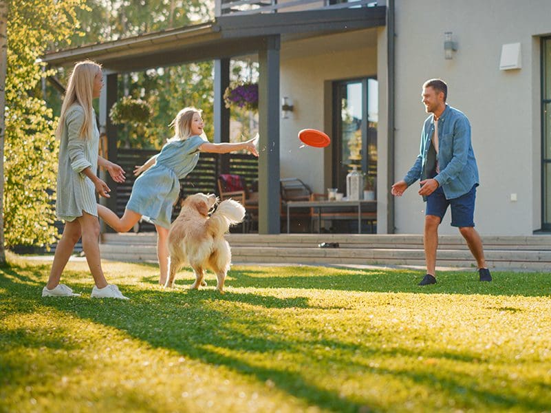 family in backyard